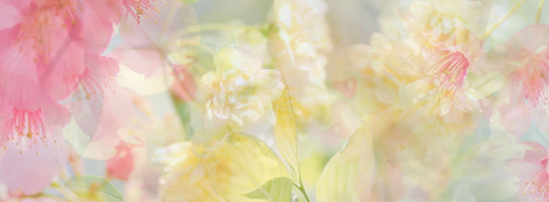 Floral fragrances